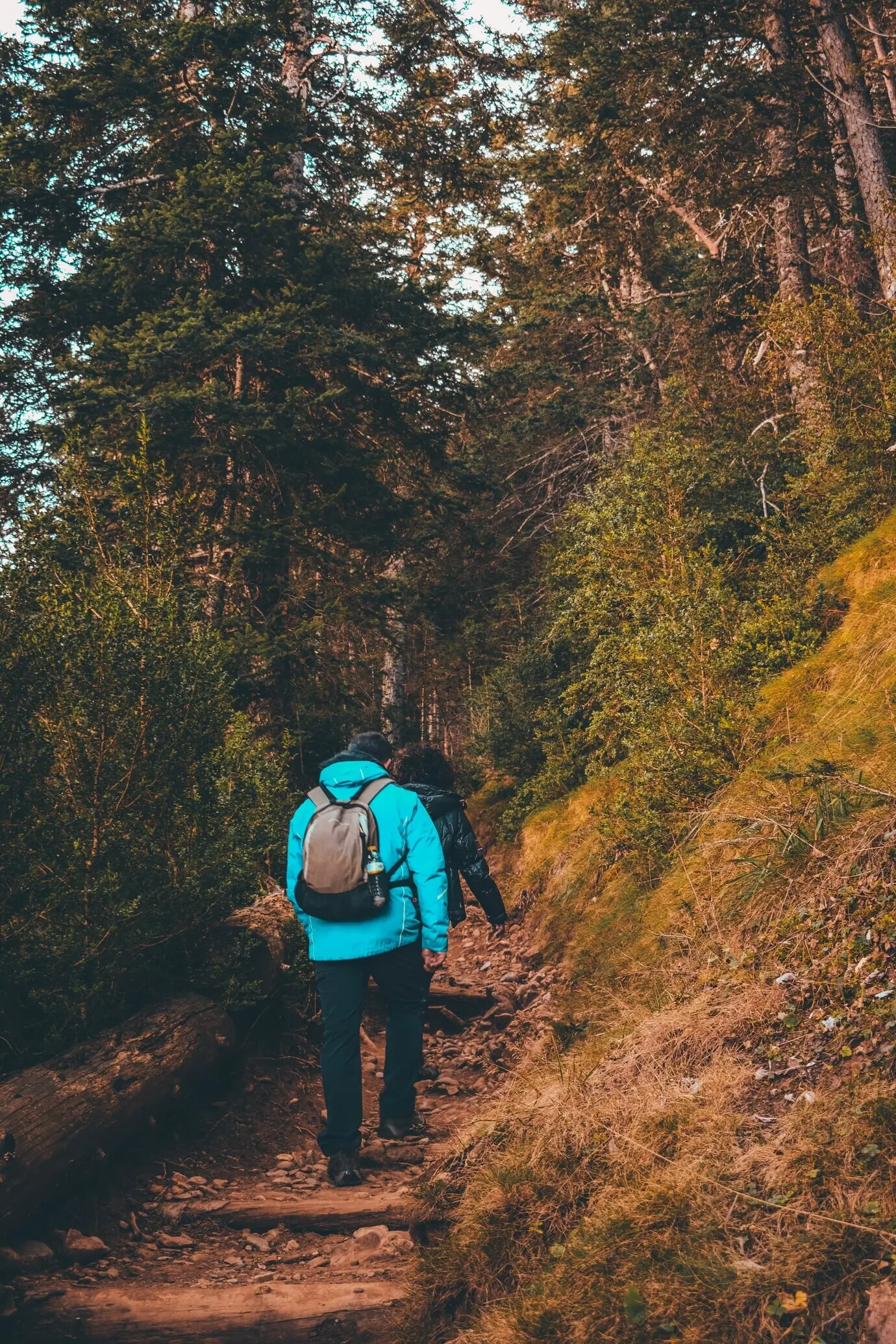 Ein Paar in der Natur